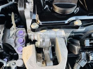 Xe Toyota Camry 2.5Q 2022